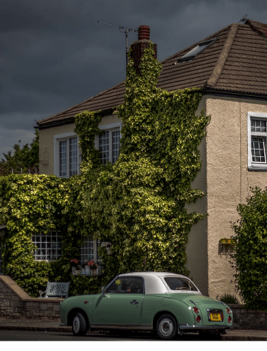 Ivy covered house with garden